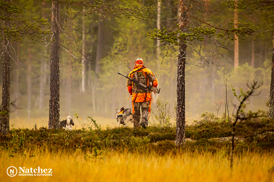 A Hunter in the forest in fall carrying a hunting rifle