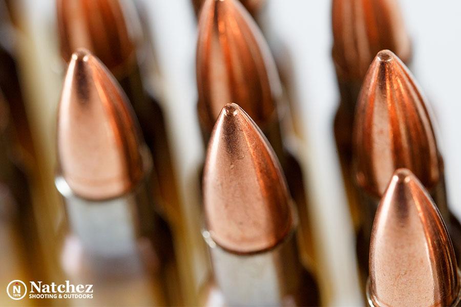 .308 bullets for hunting?