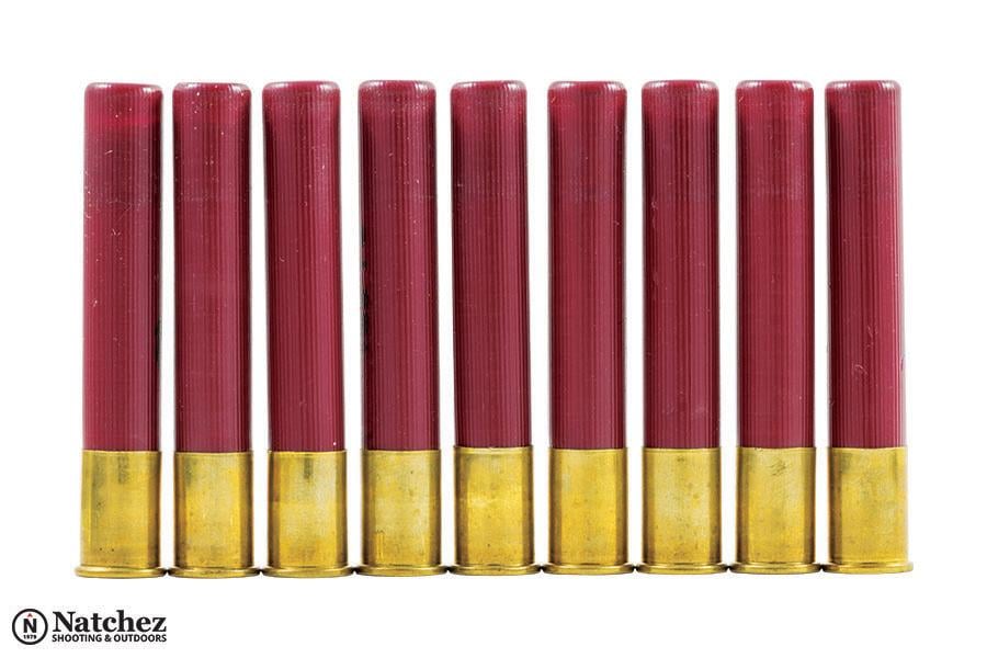 .410 buckshot shells for small game hunting