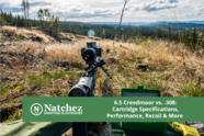 6 5 Creedmoor Vs 308 Winchester I A Complete Guide