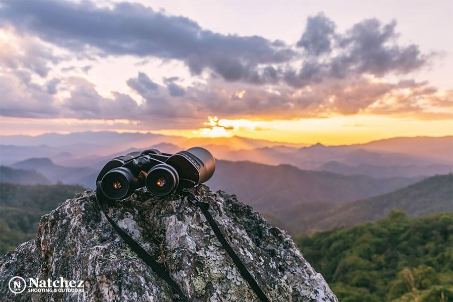 Find the Best Binoculars for Every Adventure: Expert Buying Guide
