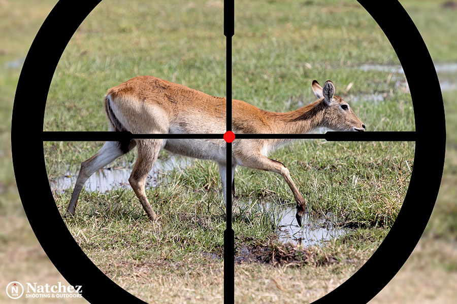 A waterbuck seen through a scope?