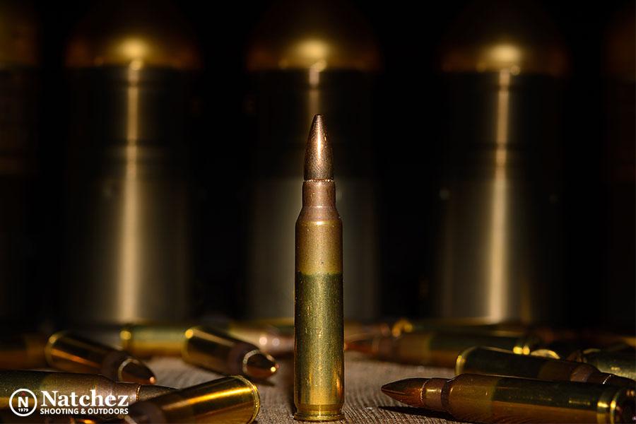 best 5.56 rounds for shooting range