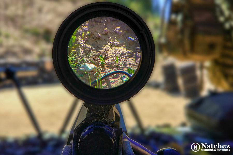 Best Scopes for Accuracy