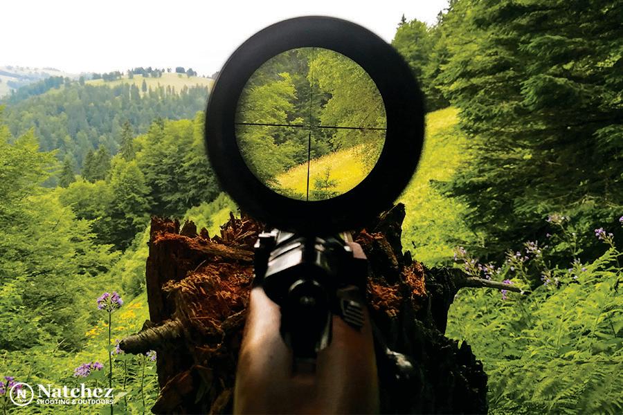 Reticle inside a hunting rifle scope