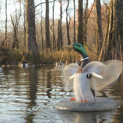 https://media.natchezss.com/images/category/Calls%20&%20Decoys/Hunting-DECOYS.jpg