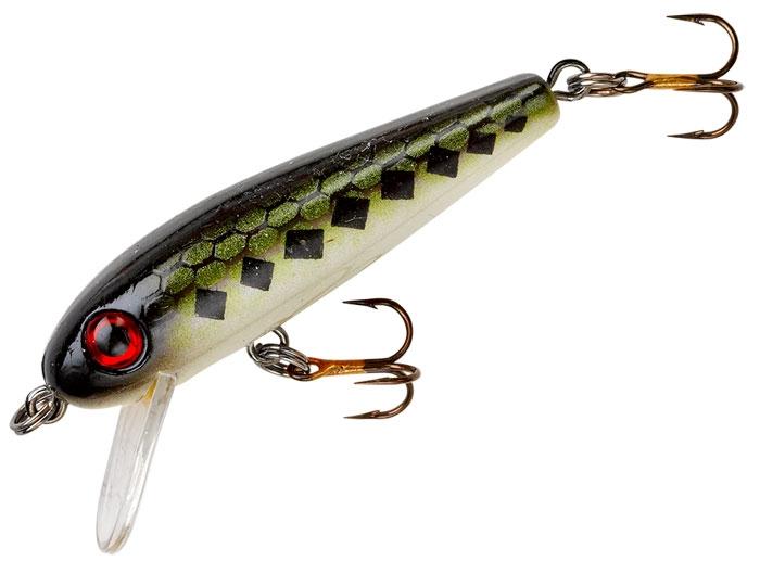 Rebel Minnow Bass