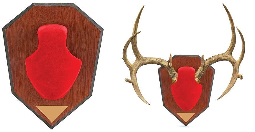 Allen Antler Mounting Kit - Red Skull - Allen