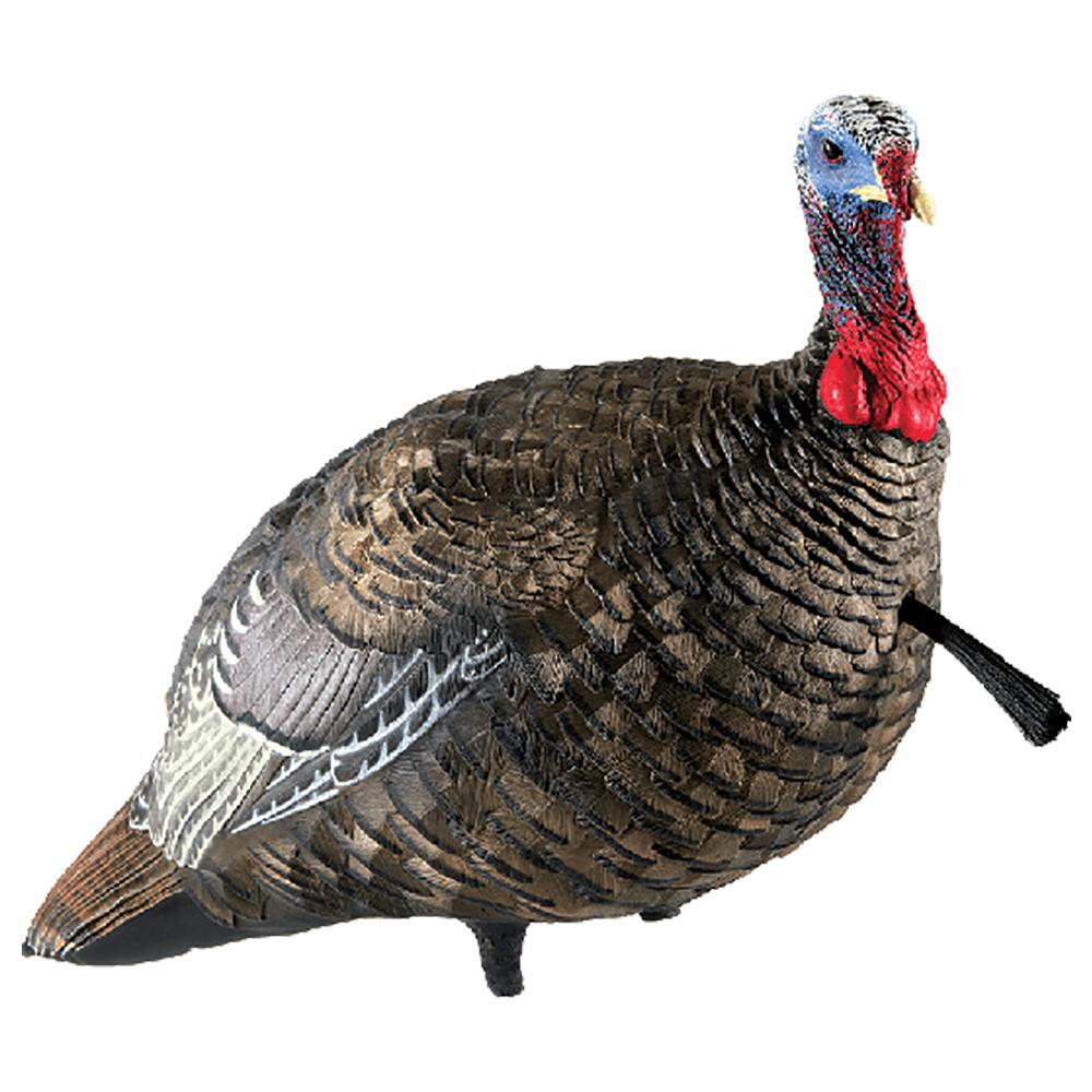 Avian-X LCD Quarter-Strut Jake Turkey Decoy - Avian-X