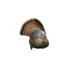 Avian-X LCD Strutter Turkey Decoy