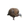 Avian-X LCD - Feeder Hen Turkey Decoy