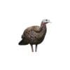 Avian-X LCD - Breeder Hen Turkey Decoy