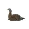Avian-X LCD - Laydown Hen Turkey Decoy
