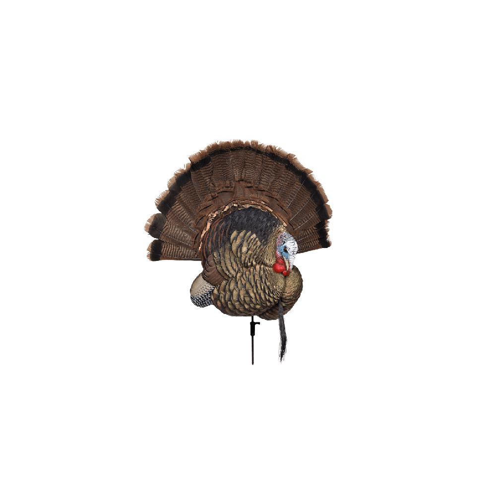 Avian-X Trophy Tom Turkey Decoy - Avian-X