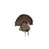 Avian-X Trophy Tom Turkey Decoy