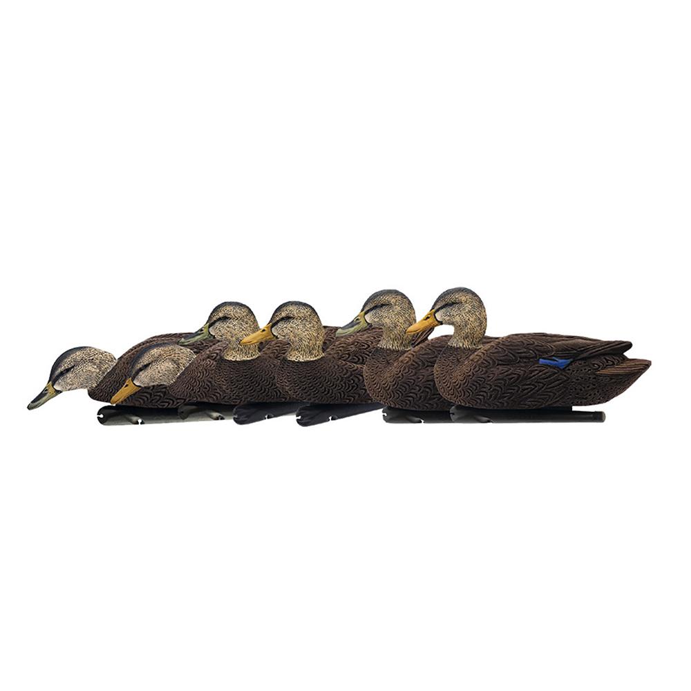 Avian-X Topflight Black Ducks Floating Decoys 6/ct - Avian-X