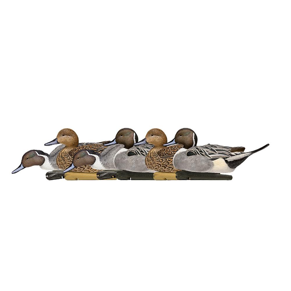 Avian-X Topflight Pintails Duck Decoys 6/ct - Avian-X