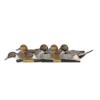 Avian-X Topflight Pintails Duck Decoys 6/ct