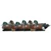 Avian-X Top Flight Wigeon 6/ct