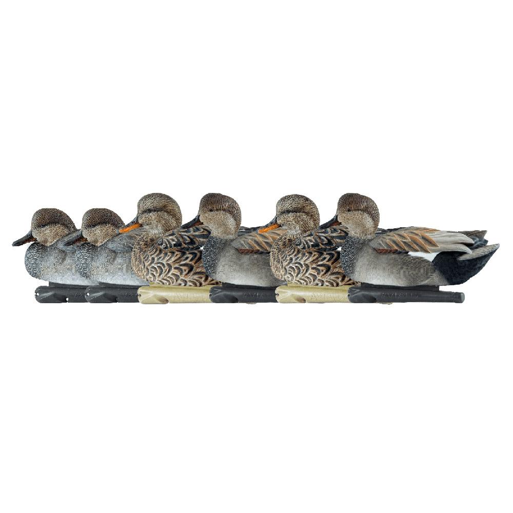 Avian-X Top Flight Decoys Gadwall 6/ct - Avian-X