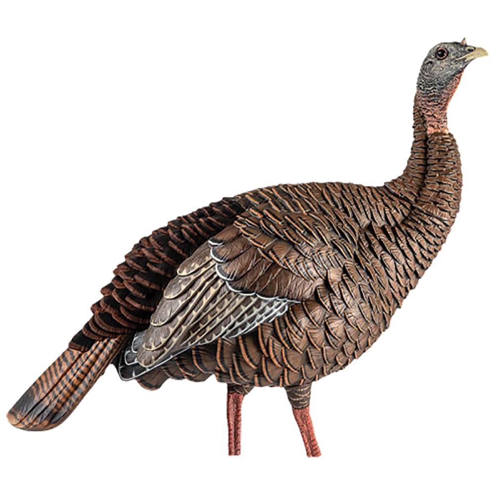 Avian-X HDR Hen Turkey Decoy - Avian-X