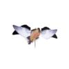 Avian-X Powerflight Robo Spinning Wing Dove Decoy