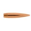 30 cal 200.20x Hybrid Target (500 ct) bullets