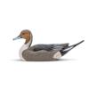 Rig 'Em Right Mainline Series Pintail Duck Decoy 6/ct