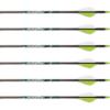 Carbon Express PileDriver Crossbow Bolts, 22" - 6pk
