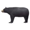 Glendel Bear Target