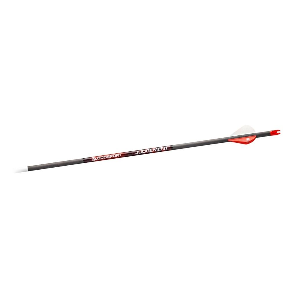 Bloodsport Judgement Arrow 300 Spine 6/pk - Bloodsport