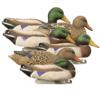 Higdon Outdoors Full Size Mallard Foam Filled 6pk