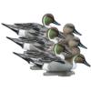 Higdon Outdoors Standard Pintail Foam Filled 6pk