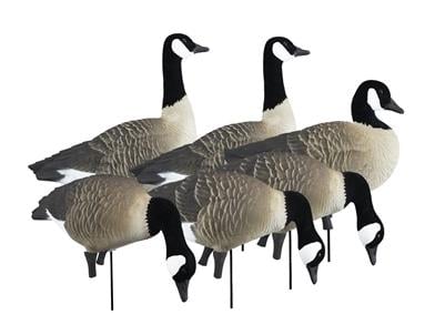 Higdon Outdoors APEX Full-Size Full-Body Variety Pack - Canada Goose - Higdon Outdoors