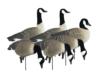 Higdon Outdoors APEX Full-Size Full-Body Variety Pack - Canada Goose