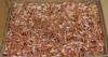 Hornady Traditional Rifle Bullets .22 cal .224" 55 gr HP 6000/ct BULK