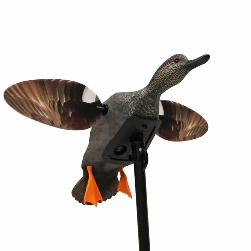 MOJO Elite Series Spinning Wing Decoy - Gadwall - MOJO Outdoors