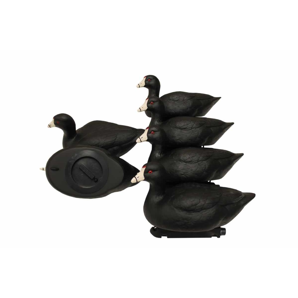 Mojo Coot Confidence Decoys 6/ct - MOJO Outdoors