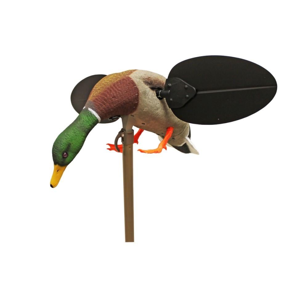 MOJO Mallard Drake Decoy - MOJO Outdoors