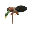 MOJO Mallard Drake Decoy