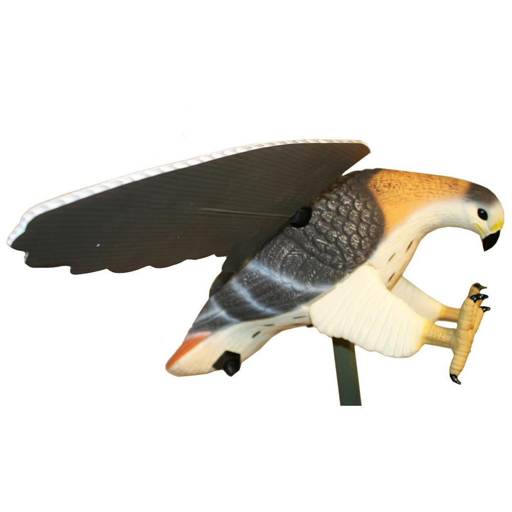 Mojo Hawk Predator Decoy - MOJO Outdoors