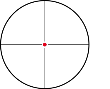 494384_5
