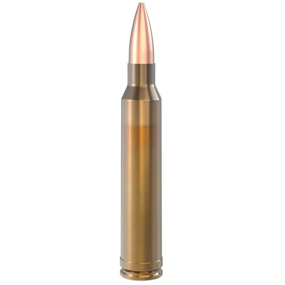 Lapua Rifle Ammuntion 300 Win Mag 185 gr Scenar OTM 10/ct - Lapua