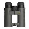 Leupold BX-4 Pro Guide HD 10x42mm Gen 2 - Shadow Gray