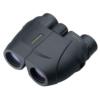 Leupold BX-1 Rogue Compact Binocular - 8x25mm Inverted Porro Prism Black