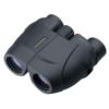 Leupold BX-1 Rogue Compact Binocular 10x25mm Inverted Porro Prism Black