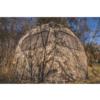 Ameristep Doghouse Extreme Ground Blind Mossy Oak Country DNA