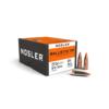 Nosler Ballistic Tip Varmint Bullets .22 cal .224" 60 gr SBT-SB 250/ct