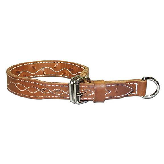 Omnipet Leather Force Collar 1.25" x 21" Brown - Omnipet