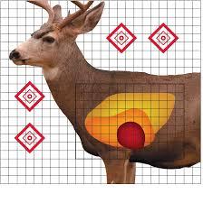 Pro-Shot Mule Deer Sight In Target 25" x 25" 5/ct - Pro-Shot